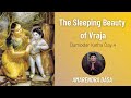 Damodar Katha Day 4 - The Sleeping Beauty of Vraja | Hosted by ISKCON Atlanta | Amarendra Dasa