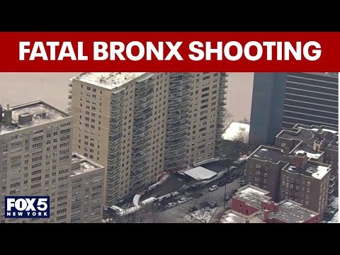 Multiple shot in the Bronx in apparent murder-suicide, sources say