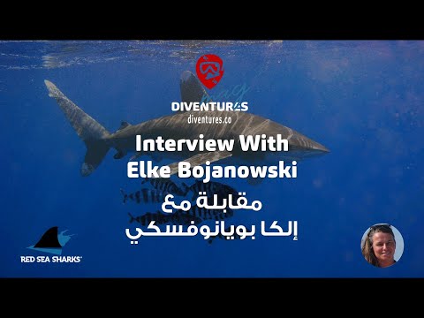 Interview With Marine Biologist Elke Bojanowski