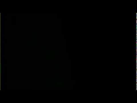 haylaz & arsız bela