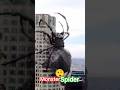 Monster Spider ! Mega Spider🕷️🕷️🕷️🕷️🕷️🕷️🕷️🕷️🕷️🕷️ Big Ass Spider Hollywood #shorts