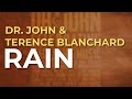 Dr. John & Terence Blanchard - Rain (Official Audio)