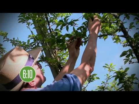 [RBS TV] - Vertical das manhãs de domingo da RBS TV RS - 25/09/2016