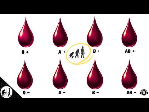 The Hidden Story in Your Blood | What Your Blood Type Really Reveals About Survival