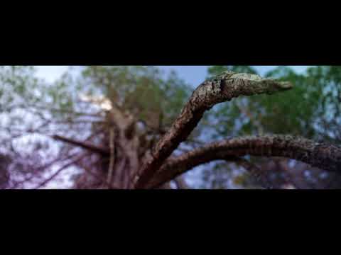 Él Rincón del Bonete