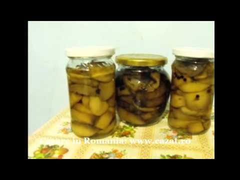 Cazare Cetatuia, Bacau - Cazat.ro