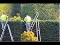 Spruce Hedge Hacks Trim And Prune Like A Pro And Achieve The Perfect Garden Framing