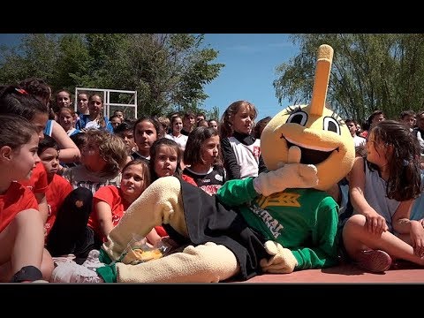 Día del MINIBASKET 2018