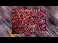 The Stone Roses - I Am the Resurrection ( slowed + reverb )