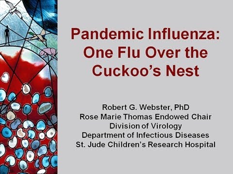 Pandemic Influenza: one flu over the cuckoo's nest