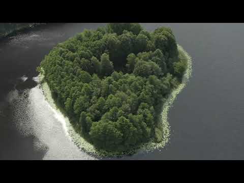 Купить дом, д. Замошье 2, ул. Центральная, 7 (Ушачский р-н, Витебская область)