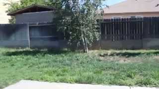 preview picture of video 'Homes for Rent in Olivehurst CA 3BR/2BA by Olivehurst Property Management'