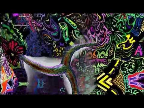 kindzadza vs kaliflower - fifth essence