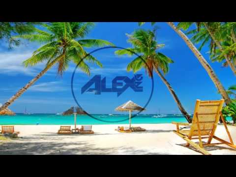 Blakai feat Lady Alma - Work It Out (Alex Inc Mash Mix)