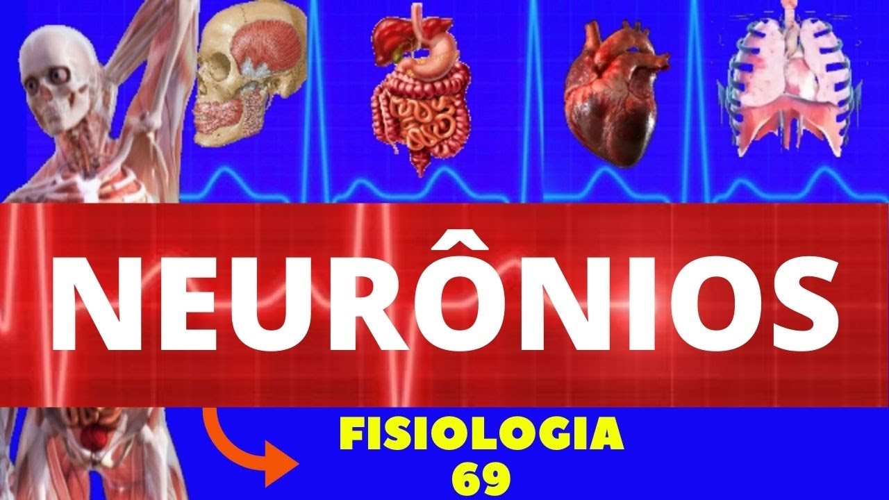 NEURÔNIOS ( ESTRUTURA E SINAPSE) - NEUROFISIOLOGIA (FISIOLOGIA DE GUYTON) - SISTEMA NERVOSO