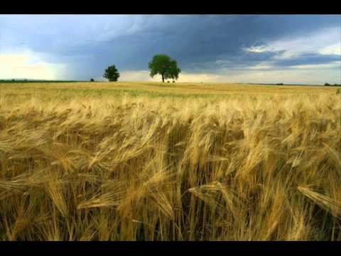 Srdanci- Lagani becarac