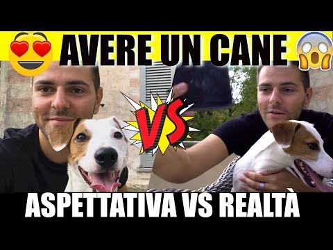 AVERE UN CANE - Aspettativa VS Realtà - iPantellas