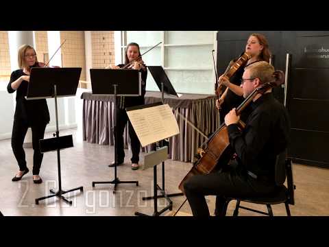 Neue Quartet plays "Quattro Formaggi" by Stefan Stanciu