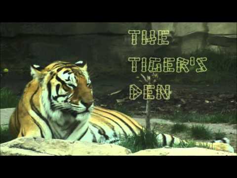 February 11th Power Trading Hour with David White on TFNN - 2016