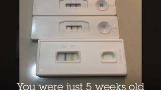 An angel never dies || I will carry you (Audrey’s song) by Selah