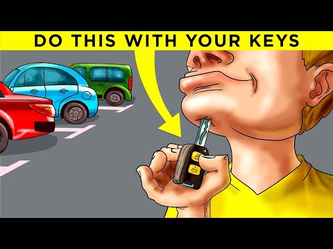 20 Interesting Facts to Season Your Day