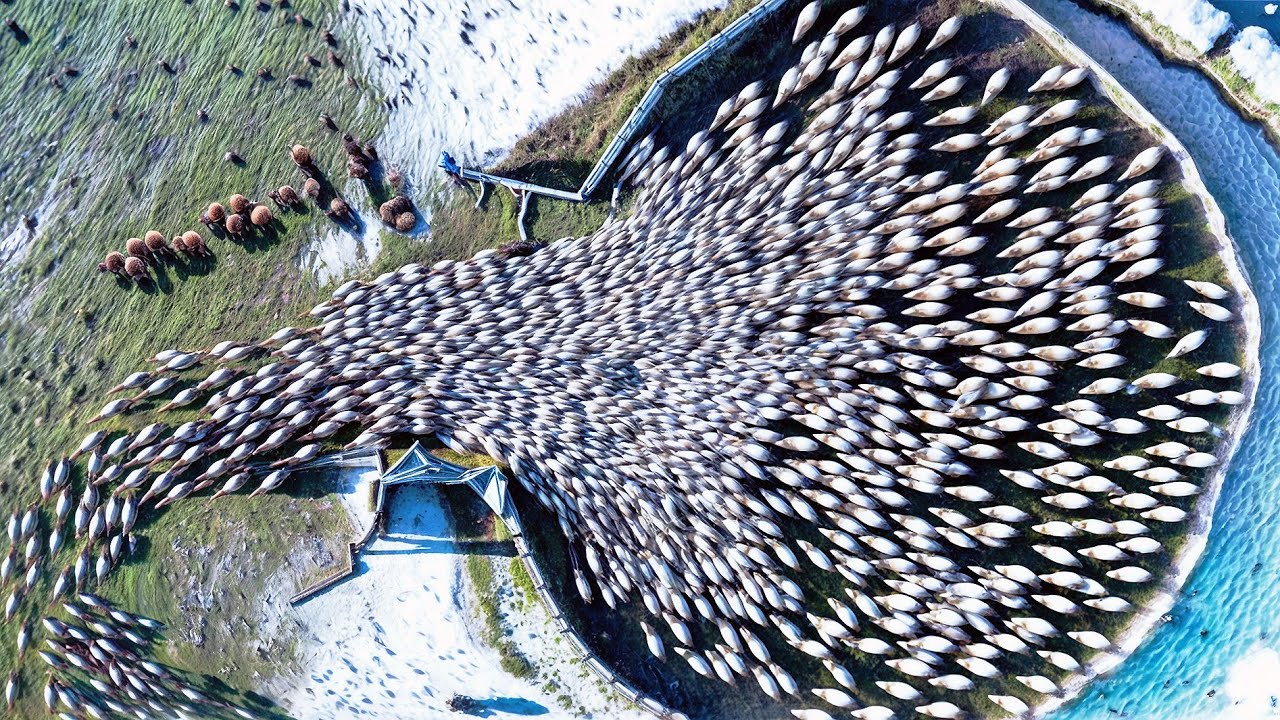 Top 10 Momentos Impressionantes Registrados Pelas Câmeras