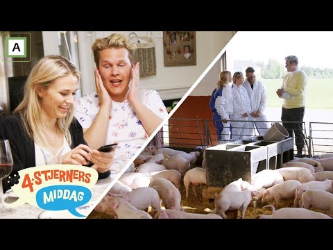 4-stjerners middag | Potetstafett med SMS-Roulette | discovery+ Norge