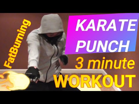 HIIT TABATA Workout Challenge NO equipment at home #22 Karate Punch (3minute)