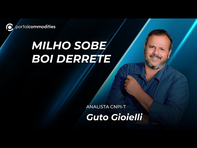 Boi realiza com problema de logística