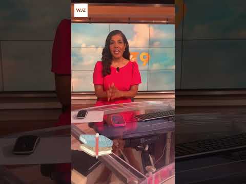 Wjz Anchors