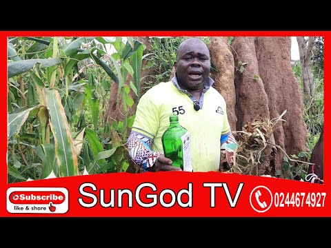 Do this direction on 31st August b4 1st September | Mayazzi d33p secret behind the ninth month 🤔😳