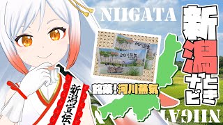 【新潟情報】新潟あの銘菓を食レポ