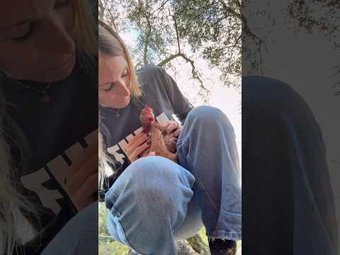 Controllo animaletti🥰