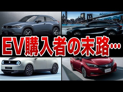 ハンス・ヴェルナー・ジン氏によれば、電気自動車は「見せかけのパッケージ」にすぎない