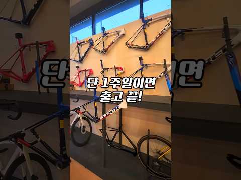 트렉 프로젝트원 아직도 몇 달 기다려? (단 1주 출고 컷)