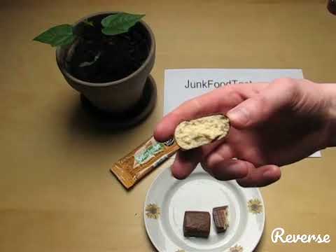 Seitenbacher Protein Riegel Orange Reverse