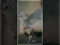 Masakali 2 0 ️ ️ Song Love WhatsApp Status