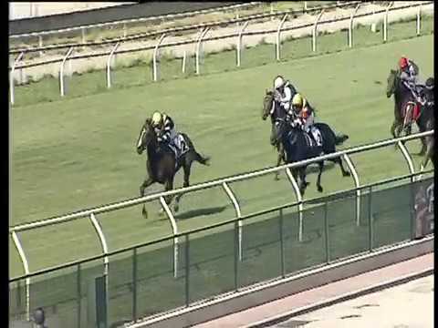 Galoppo 09/06/2017 - 1ª corsa