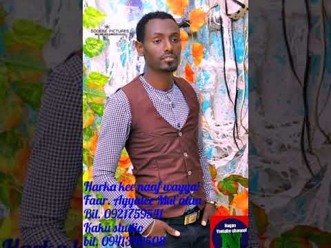 Faar. Ayyalee Mul'ataa (Mana kee naaf wayya!)