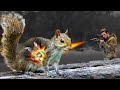 Hunting With Exploding Frag Pellets
