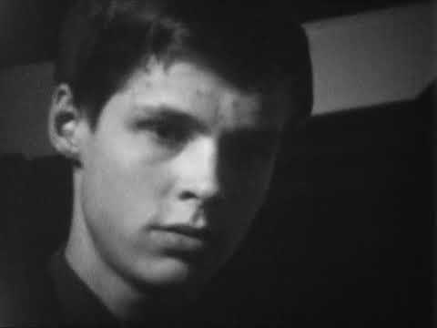 Samvetet (Conscience)