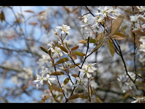 Entspannung durch Autogenes Training - Teil 1