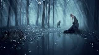 Van Morrison   In The Forest