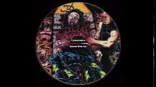 Amoebic Dysentery ‎-- Mongoloid Metal (Full Album 2002)