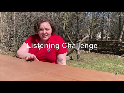 Looking and Listening in A Quieter World - Virtual Field Trip