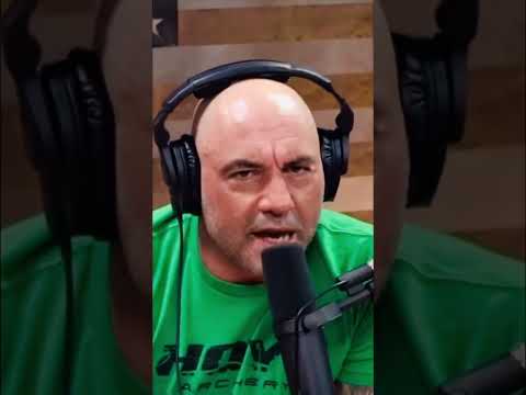 Joe Rogan describes his ego death experience