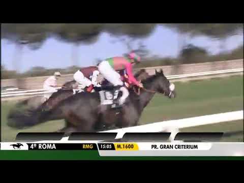 2021.10.24 Premio Gran Criterium (ITA) - Don Chicco