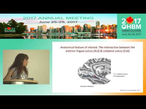 OHBM Oral Presentations 2017: Kalanit Grill-Spector