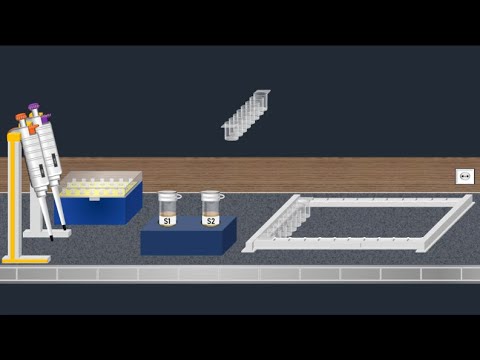 Direct ELISA Test - Animated video