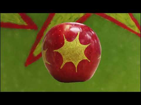 Fruit Party - The Mold by The 63 Crayons